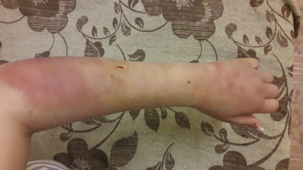 Дарья Борщаговская