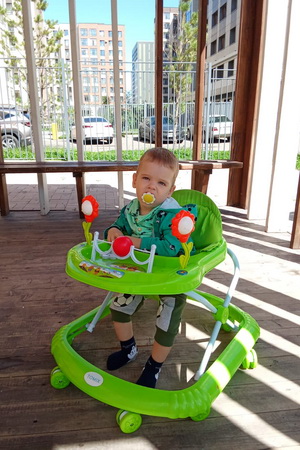 Давид Мягкоход